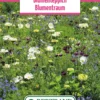 Blumenwiese Blumenteppich Blumentraum (100 G) | Blumensamen Von Bertrand