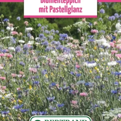 Blumenwiese Blumenteppich Pastell (100 G) | Blumensamen Von Bertrand