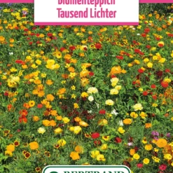 Blumenwiese Blumenteppich Tausendlichter (100 G) | Blumensamen Von Bertrand