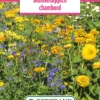 Blumenwiese Blumenteppich Chambord (100 G) | Blumensamen Von Bertrand