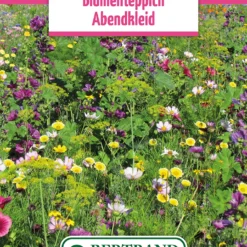 Blumenwiese Abendkleid Einjährig (100 G) | Blumensamen Von Bertrand