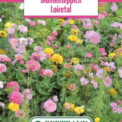 Blumenwiese Blumenteppich Loiretal (100 G) | Blumensamen Von Bertrand