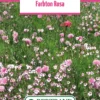 Blumenwiese Farbton Rosa (100 G) | Blumensamen Von Bertrand