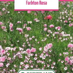 Blumenwiese Farbton Rosa (100 G) | Blumensamen Von Bertrand