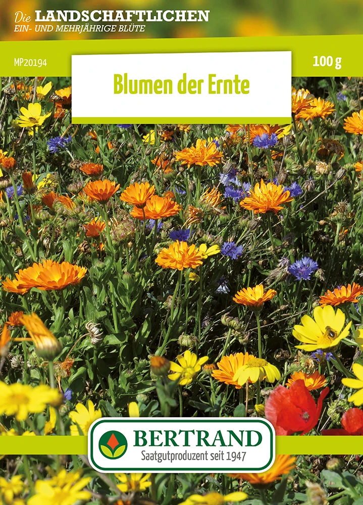 Blumenwiese Ackerwildkräutern (100 G) | Blumensamen Von Bertrand 1 Blumenwiese Ackerwildkräutern (100 G) | Blumensamen Von Bertrand