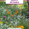 Blumenwiese Blumen Für Alle Standorte (100 G) | Blumensamen Von Bertrand