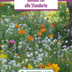 Blumenwiese Blumen Für Alle Standorte (100 G) | Blumensamen Von Bertrand
