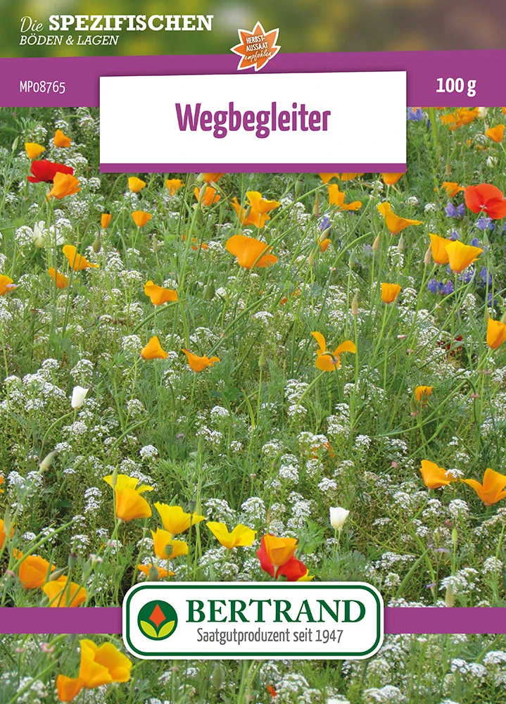 Blumenwiese Blumen Für Straßenkanten (100 G) | Blumensamen Von Bertrand 1 Blumenwiese Blumen Für Straßenkanten (100 G) | Blumensamen Von Bertrand