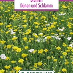Blumenwiese Dünen- Und Schlickblumen (100 G) | Blumensamen Von Bertrand