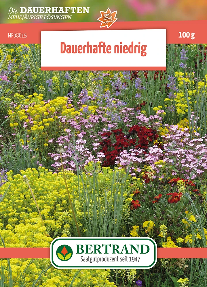 Blumenwiese Mehrjährige Niedrige Stauden (100 G) | Blumensamen Von Bertrand 1 Blumenwiese Mehrjährige Niedrige Stauden (100 G) | Blumensamen Von Bertrand