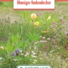 Blumenwiese Blumiger Bodendecker Für Gründächer (100 G) | Blumensamen Von Bertrand