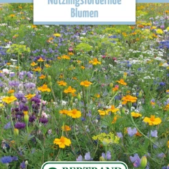 Blumenwiese Blumen Für Nützlinge (100 G) | Blumensamen Von Bertrand