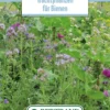 Blumenwiese Honigblumenwiese OFA Einjährig (100 G) | Blumensamen Von Bertrand