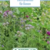 Blumenwiese Honigblumenwiese OFA Mehrjährig (100 G) | Blumensamen Von Bertrand