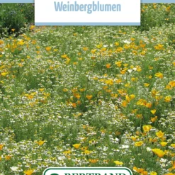 Blumenwiese Blumen Der Weinberge (100 G) | Blumensamen Von Bertrand