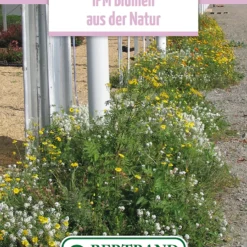 Blumenwiese IPM Wildblumenmischung (100 G) | Blumensamen Von Bertrand