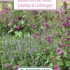 Blumenwiese Staudenmischung Für Schatten &amp; Lichtungen (100 G) | Blumensamen Von Bertrand