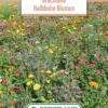 Blumenwiese Brachland Halbhohe Blumen (100 G) | Blumensamen Von Bertrand