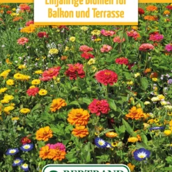 Blumenwiese Einjährige Blumen Für Balkon Und Terrasse (100 G) | Blumensamen Von Bertrand