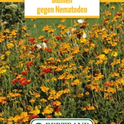 Blumenwiese Blumen Gegen Nematoden (100 G) | Blumensamen Von Bertrand