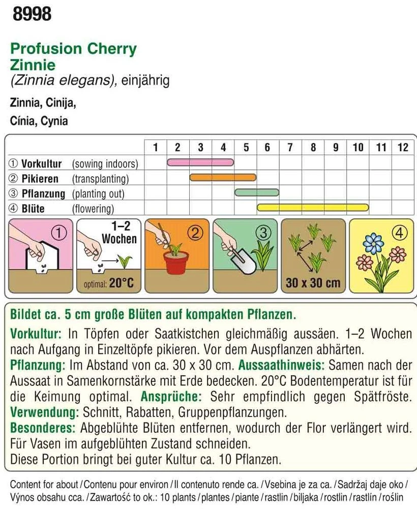 Zinnien Profusion Cherry | Zinniensamen Von Austrosaat 1 Zinnien Profusion Cherry | Zinniensamen Von Austrosaat