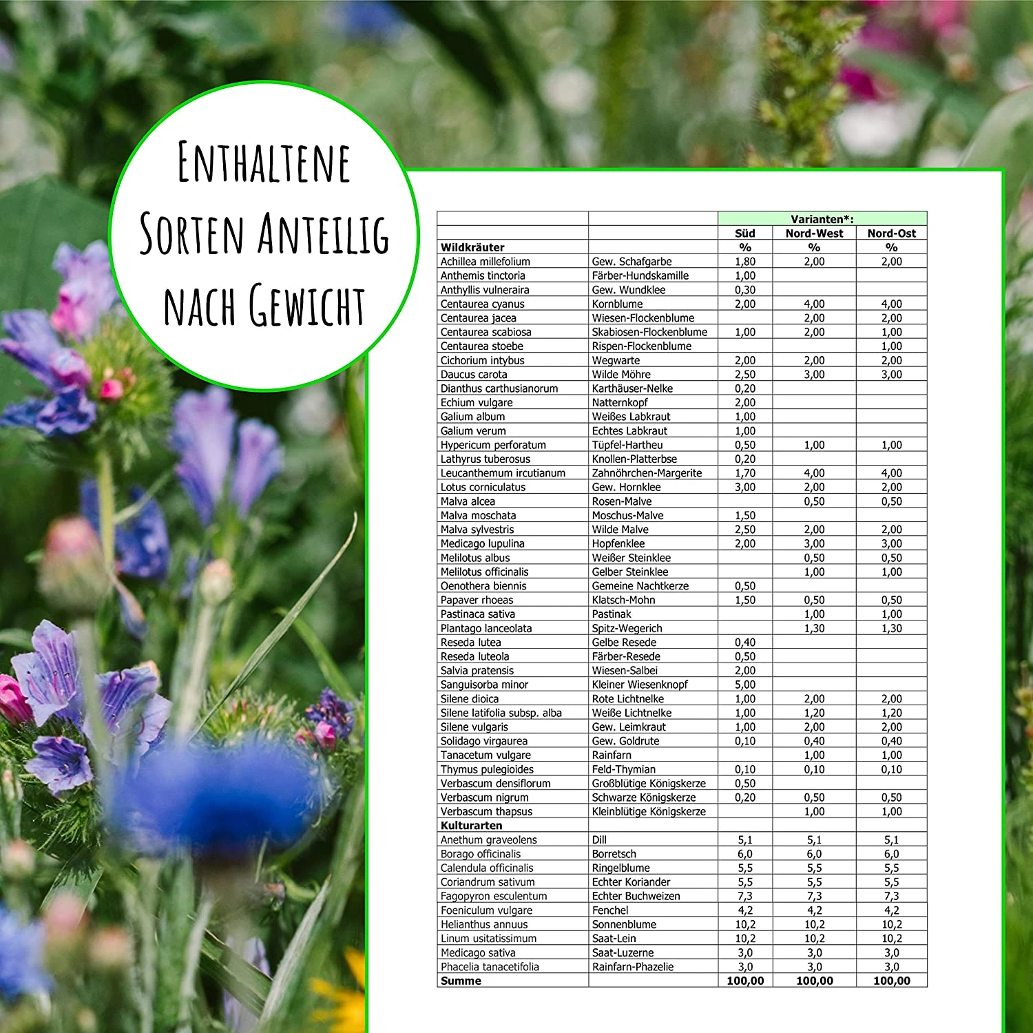 Bienenweide Region Nord-Ost (mehrjährig, 50 G) | Bienenwiese Von Biobalu 1 Bienenweide Region Nord-Ost (mehrjährig, 50 G) | Bienenwiese Von Biobalu