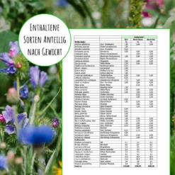 Blumen Raum Verkaufsgeschäft 4 Bienenweide Region Süd (mehrjährig, 50 G) | Bienenwiese Von Biobalu