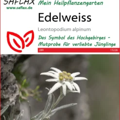 Edelweiss | Wildblumensamen Von Saflax -Blumen Raum Verkaufsgeschäft 543584 Edelweiss 15226 sa 0