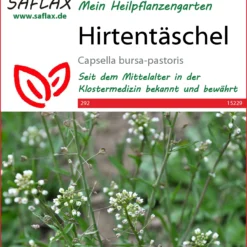 Hirtentäschel | Wildblumensamen Von Saflax -Blumen Raum Verkaufsgeschäft 543587 Hirtentaeschel 15229 sa 0