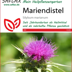 Mariendistel | Heilpflanzensamen Von Saflax 3 Mariendistel | Heilpflanzensamen Von Saflax -Blumen Raum Verkaufsgeschäft 543588 Mariendistel 15230 sa 0