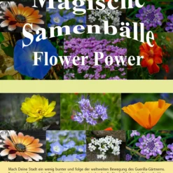 Samenbälle Flower Power (3 Stück) | Blumensamenmischung Von Saflax -Blumen Raum Verkaufsgeschäft 543594 Flower Power