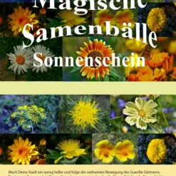 Samenbälle Sonnenschein (3 Stück) | Blumensamenmischung Von Saflax 3 Samenbälle Sonnenschein (3 Stück) | Blumensamenmischung Von Saflax -Blumen Raum Verkaufsgeschäft 543595 Sonnenschein