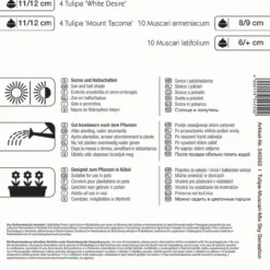 Colour Symphony Sky Sensation (28 Stück) | Blumenzwiebelmischungen Von Kiepenkerl