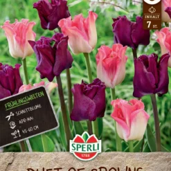 Frühlingsgarten Duet Of Crowns (7 Stück) | Tulpenmischung Von Sperli