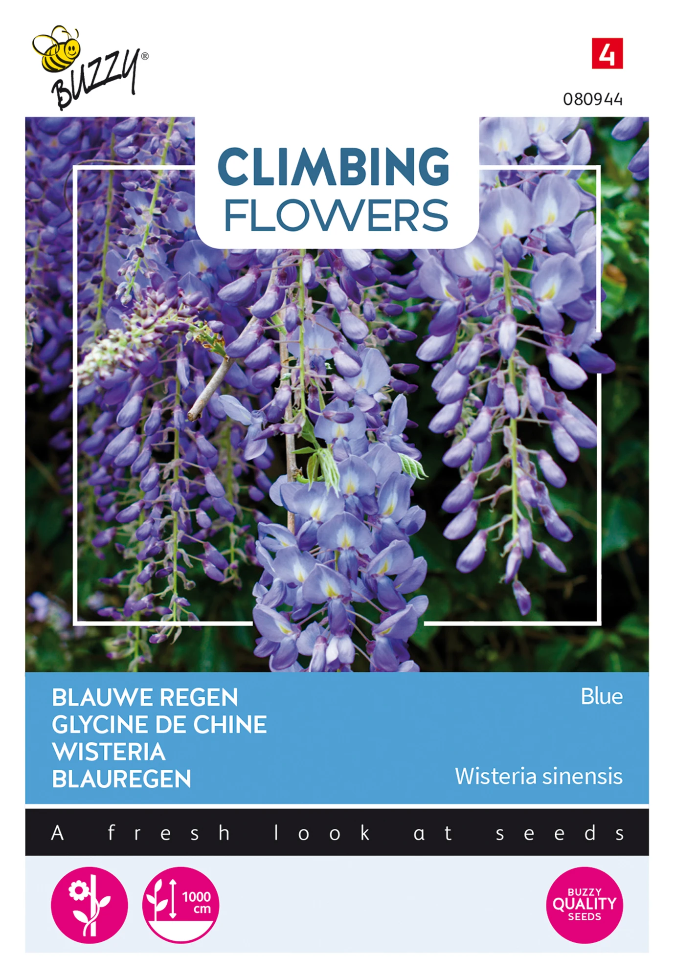 Wisteria Blau | Blauregensamen Von Buzzy Seeds 1 Wisteria Blau | Blauregensamen Von Buzzy Seeds