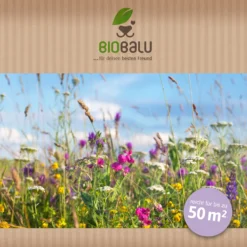 Bienenweide Halbschatten- Und Schattenbereich (50 G) | Bienenwiese Von Biobalu 7 Bienenweide Halbschatten- Und Schattenbereich (50 G) | Bienenwiese Von Biobalu -Blumen Raum Verkaufsgeschäft 546069 Bienenweide Halbschatten und Schattenbereich 50 g 2