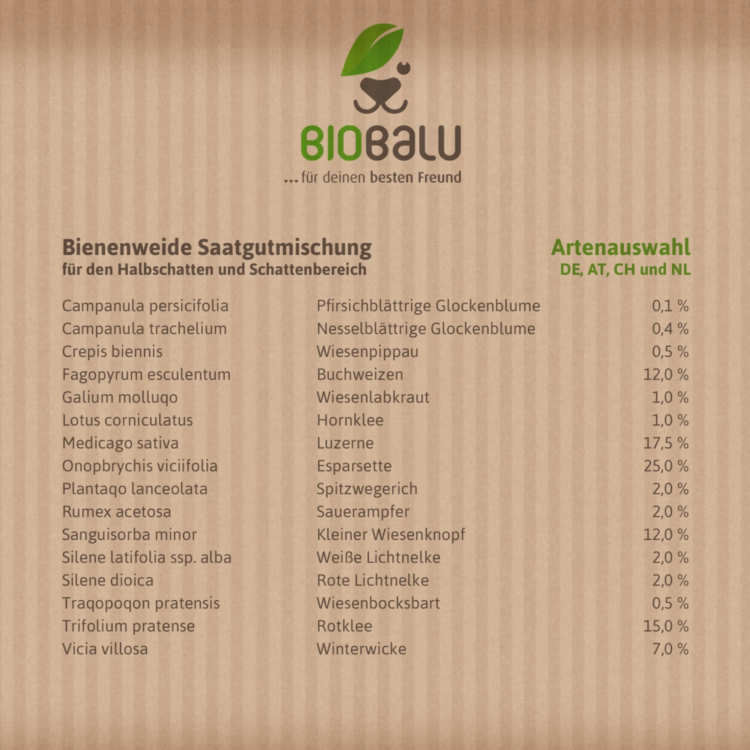 Bienenweide Halbschatten- Und Schattenbereich (50 G) | Bienenwiese Von Biobalu 2 Bienenweide Halbschatten- Und Schattenbereich (50 G) | Bienenwiese Von Biobalu – Bild 2