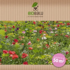 Saatgutmischung Sommerzauber (30 G) | Bienenwiese Von Biobalu -Blumen Raum Verkaufsgeschäft 547420 Saatgutmischung Sommerzauber 30 g 1