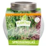 Sprossenglas (425 Ml) | Anzuchtschalen Von FLORTUS