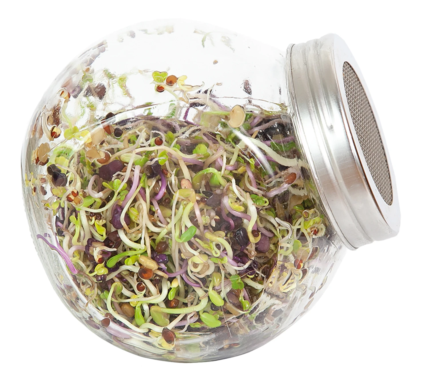 Sprossenglas (425 Ml) | Anzuchtschalen Von FLORTUS 2 Sprossenglas (425 Ml) | Anzuchtschalen Von FLORTUS – Bild 2