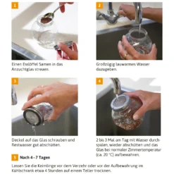 Sprossenglas (425 Ml) | Anzuchtschalen Von FLORTUS 10 Sprossenglas (425 Ml) | Anzuchtschalen Von FLORTUS -Blumen Raum Verkaufsgeschäft 547671 Sprossenglas 2000 0407 3