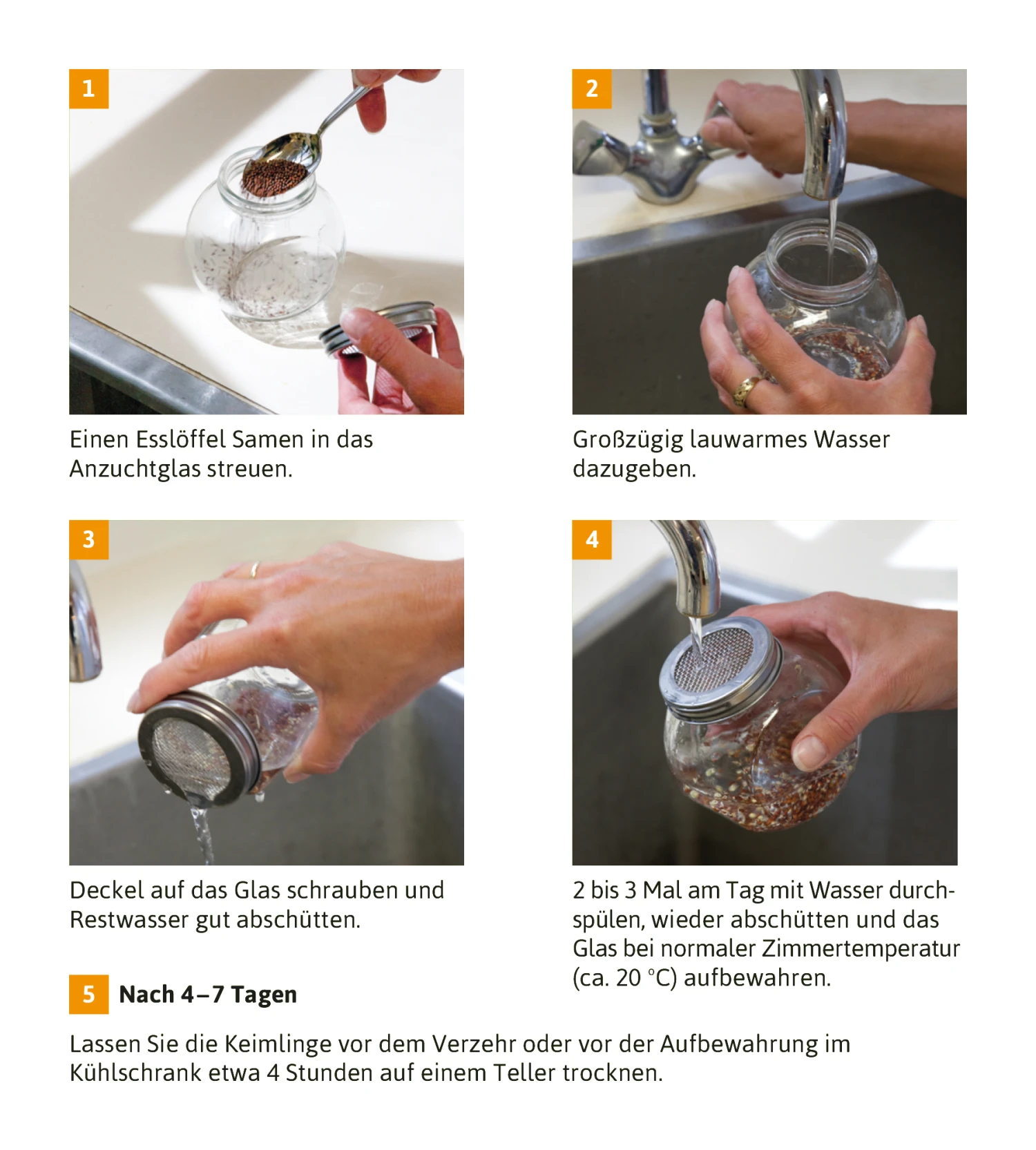 Sprossenglas (425 Ml) | Anzuchtschalen Von FLORTUS 4 Sprossenglas (425 Ml) | Anzuchtschalen Von FLORTUS – Bild 4