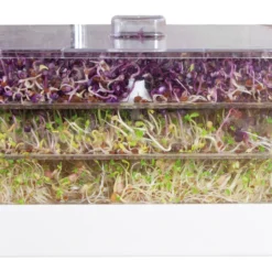 Sprossenturm | Keimgerät Von FLORTUS 13 Sprossenturm | Keimgerät Von FLORTUS -Blumen Raum Verkaufsgeschäft 547673 FLORTUS Sprossenturm 2000 0409 2