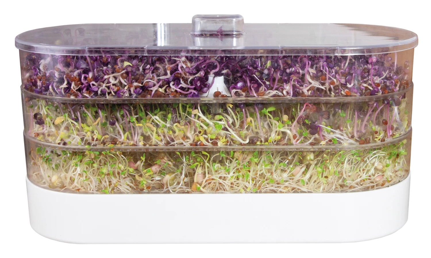 Sprossenturm | Keimgerät Von FLORTUS 6 Sprossenturm | Keimgerät Von FLORTUS – Bild 6