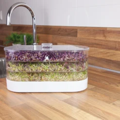 Sprossenturm | Keimgerät Von FLORTUS 15 Sprossenturm | Keimgerät Von FLORTUS -Blumen Raum Verkaufsgeschäft 547673 FLORTUS Sprossenturm 2000 0409 4