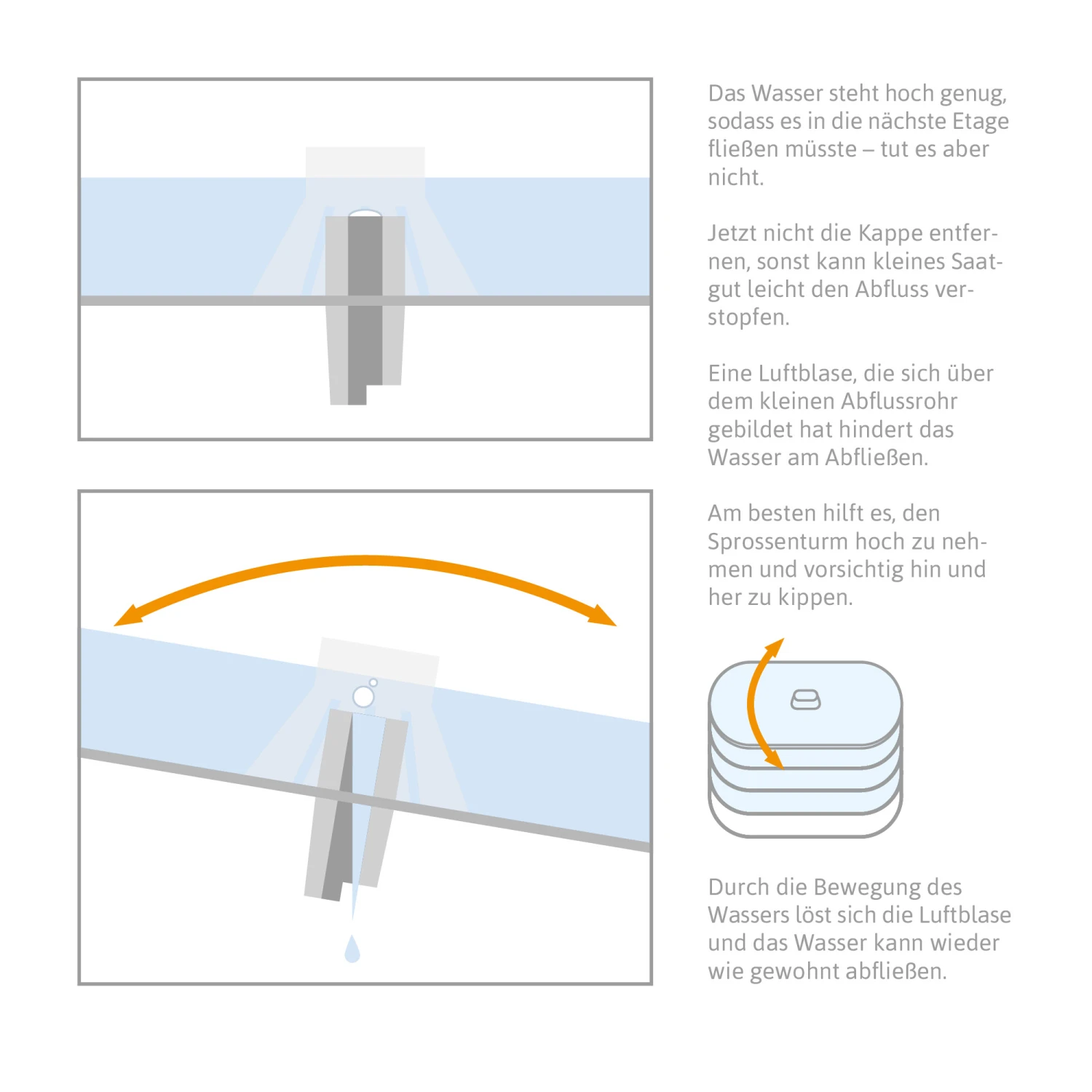 Sprossenturm | Keimgerät Von FLORTUS 5 Sprossenturm | Keimgerät Von FLORTUS – Bild 5