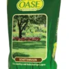 Schattenrasen (10 Kg) | Rasensamen Von Grüne Oase