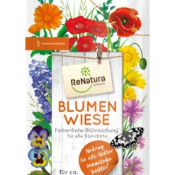 Blumenwiese (275 G) | Insektenwiese Von ReNatura