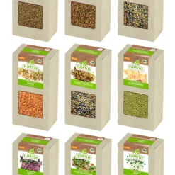 Keimsprossen Set Mit 9 Sorten (1,8 Kg) | BIO Keimsprossen Von FLORTUS -Blumen Raum Verkaufsgeschäft 548570 BIO Keimsprossen Set mit 9 Sorten 1 8 kg 2000 0443 0