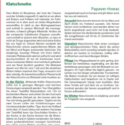 Klatschmohn | Mohnsamen Von Saflax -Blumen Raum Verkaufsgeschäft 548707 Klatschmohn 15247 sa 1